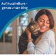 Amflee combo 50 / 60mg L&ouml;sung z.Auftropfen f&uuml;r Katzen - 2