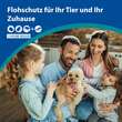 Amflee combo 67 / 60,3mg L&ouml;sung z.Auftr.f&uuml;r Hunde 2-10kg - 2