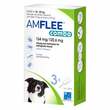 Amflee combo 134 / 120,6mg L&ouml;sung z.Auf.f&uuml;r Hunde 10-20kg - 1
