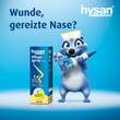 Hysan Pflegespray - 6