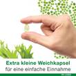 OMEGA3-Loges pflanzlich Kapseln - 6