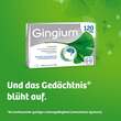 Gingium 120 mg Filmtabletten - 3