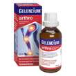 Gelencium arthro Mischung - 1