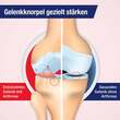 Gelencium arthro Mischung - 2