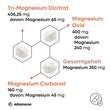 Magnesium 350 mg Komplex Citrat / Oxid/Carbon.vegan - 3