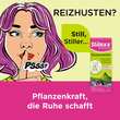 Stilaxx Hustenstiller Isl&auml;ndisch Moos Erwachsene - 2