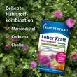 Klosterfrau Leber Kraft Tabletten - 3