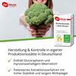 Brokkoli Extrakt + Aktiv-Enzym Dr.Wolz magensaftresistent Kapseln  - 2