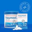 Traumeel LT ad us.vet.Tabletten - 6