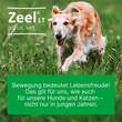 Zeel LT ad us.vet.Tabletten - 2