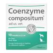 Coenzyme Compositum ad us.vet.Ampullen - 1