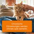 Coenzyme Compositum ad us.vet.Ampullen - 2