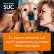 Coenzyme Compositum ad us.vet.Ampullen - 3