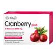 DR.B&Ouml;HM Cranberry plus Granulat - 1