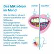 Nupure probadent Probiotikum bei Mundgeruch Lut. - 4