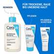 Cerave SA Reinigung - 8