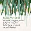 EUKALYPTUS &Ouml;L naturrein &auml;therisch - 4