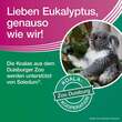 Soledum addicur 200 mg magensaftresistent Weichkapseln - 6