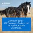 Traumeel LT ad us.vet.Ampullen - 4