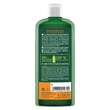 Repair &amp; Pflege Shampoo Bio Sanddorn - 2