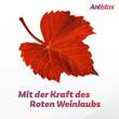 Antistax extra Venentabletten - 5