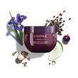 CAUDALIE Vinosculpt liftender K&ouml;rperbalsam - 2