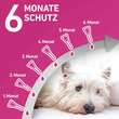 Frontline Tri-Act L&ouml;sung z.Auftropfen f&uuml;r Hunde 2-5 kg - 4