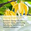 Ylang Ylang &Ouml;l naturrein &auml;therisch - 4
