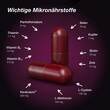 Orthomol Hair intense Kapseln - 4