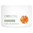 CBD VITAL Akutbalsam - 2