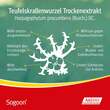 Sogoon 480 mg Filmtabletten - 6