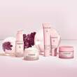 CAUDALIE Resveratrol Kaschmir Creme - 4