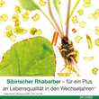 Femiloges magensaftresistente Tabletten - 4