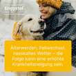 Engystol T ad us.vet.Tabletten - 2