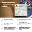 Doppelherz Kollagen Extra system Trinkampullen - 5