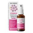 DR.THEISS Vitamin B Komplex-Spray - 1