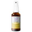 DR.THEISS Immun Direkt-Spray - 2