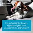 Sascupreel ad us.vet.Ampullen - 2