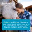 Sascupreel ad us.vet.Ampullen - 4