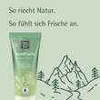 Allg&auml;uer Latschenkiefer Waldfrische Aroma-Dusche - 5