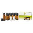 Leerflaschenset 10 ml - 1