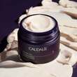 CAUDALIE Premier Cru Die reichh.Creme Nachf&uuml;llpa. - 3