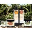 Plantana Argan Pflege Dusche - 8