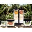 Plantana Argan K&ouml;rpermilch - 6