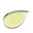 CAUDALIE Vinosculpt Concentre Minceur Figurpflege - 2