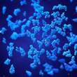 Bacillus subtilis plus Dr.Jacob's Kapseln - 2