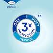 TENA COMFORT maxi Vorlage - 5