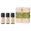 Set Aroma Sauna Frische &amp; Energie - 1