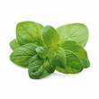 Oregano &Ouml;l Kapseln vegan Dr.Jacob's - 5