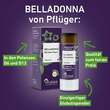 Belladonna D 12 Globuli Pfl&uuml;ger Globulispender - 3